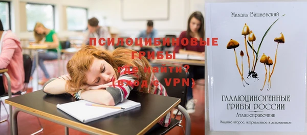 не бодяженный Бородино