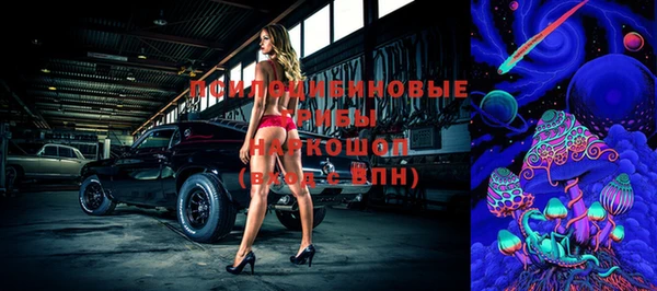 гидропоника Богородицк