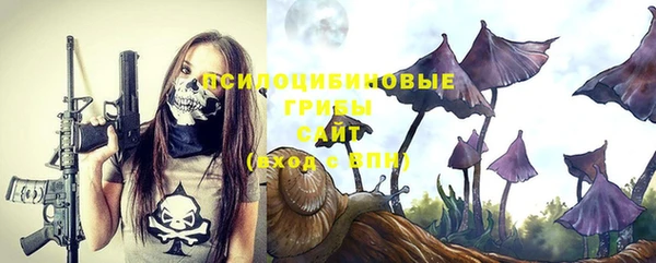 скорость Богданович