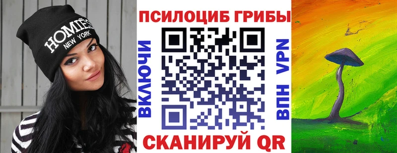 нарко площадка состав  Кушва  Псилоцибиновые грибы Psilocybine cubensis 